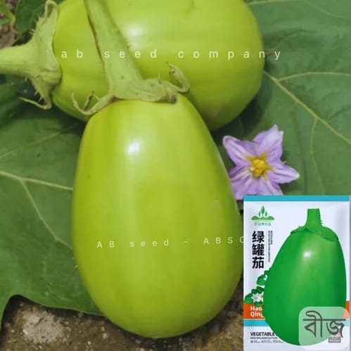 সবুজ দেশী বেগুন